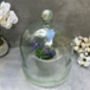 Huge 30cm Recycled Glass Cloche Dome Bell Jar, thumbnail 4 of 8