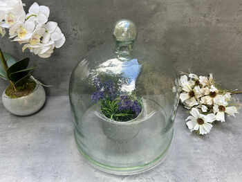 Huge 30cm Recycled Glass Cloche Dome Bell Jar, 4 of 8