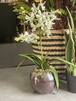 Artificial White Orchid In Glass Vase, 5 of 5