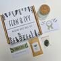 Marimo Moss Ball Kit Plant Lover Gift, thumbnail 3 of 9
