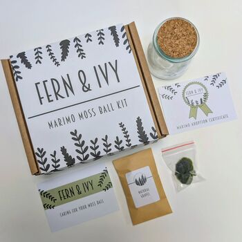 Marimo Moss Ball Kit Plant Lover Gift, 3 of 9