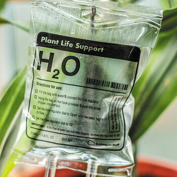 Plant Life Support, 2 of 3