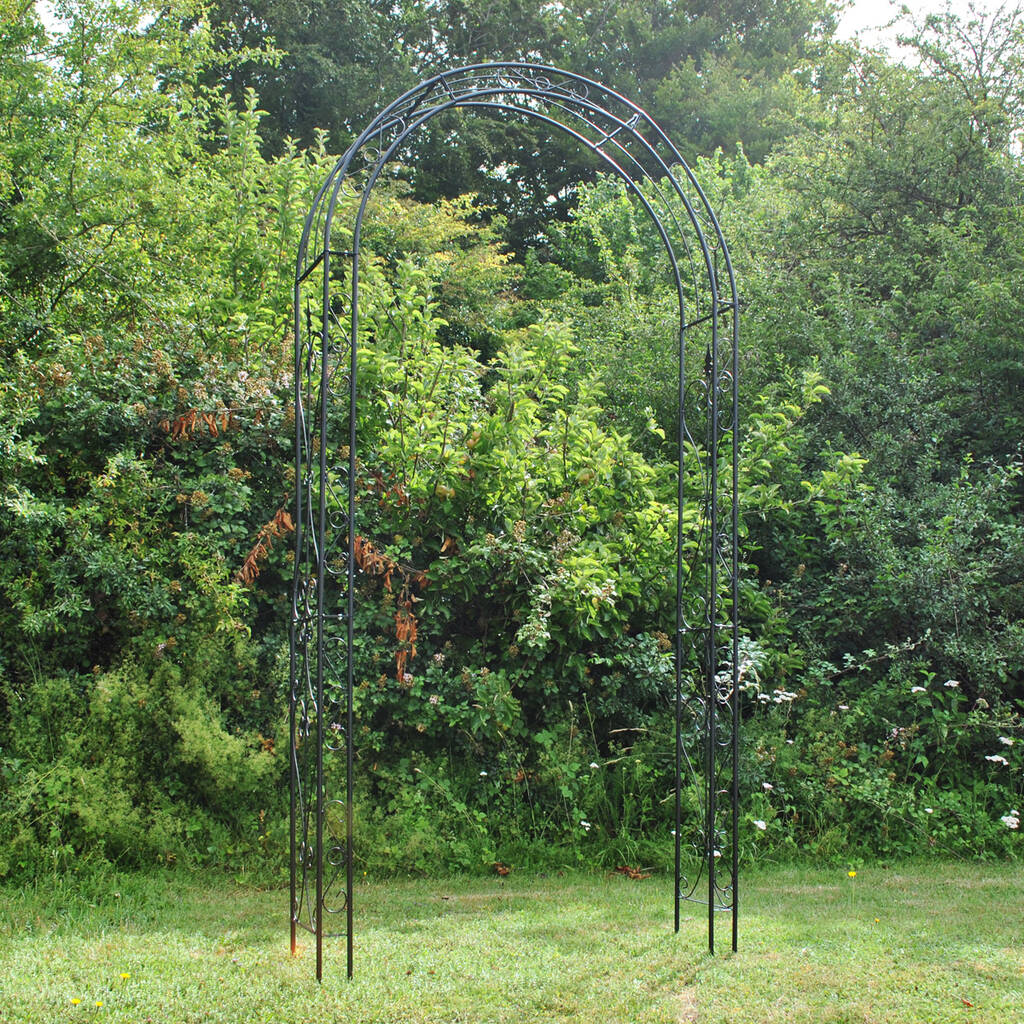 natural metal garden arch by garden selections ...