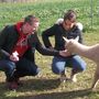 90 Minute Walk With Alpacas Experience, thumbnail 8 of 8
