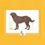 Charlie The Chocolate Labrador Blank Greeting Card, thumbnail 4 of 10