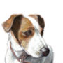 Personalised, Original Dog Portrait, thumbnail 4 of 5