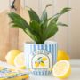 Blue Striped “La Dolce Vita” Plant Pot, thumbnail 1 of 2
