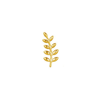 Fern Curve Helix Earring In Implant Grade Titanium, 3 of 5
