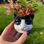 Ceramic Cat Mini Planter, thumbnail 7 of 7