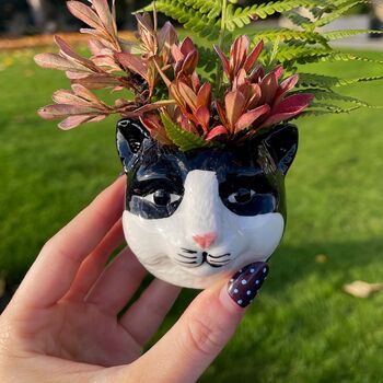 Ceramic Cat Mini Planter, 7 of 7