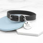 Personalised Classic Leather Dog Collar With Tag, thumbnail 8 of 12