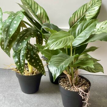 Artificial Fishbone Plant In Pot, 4 of 4