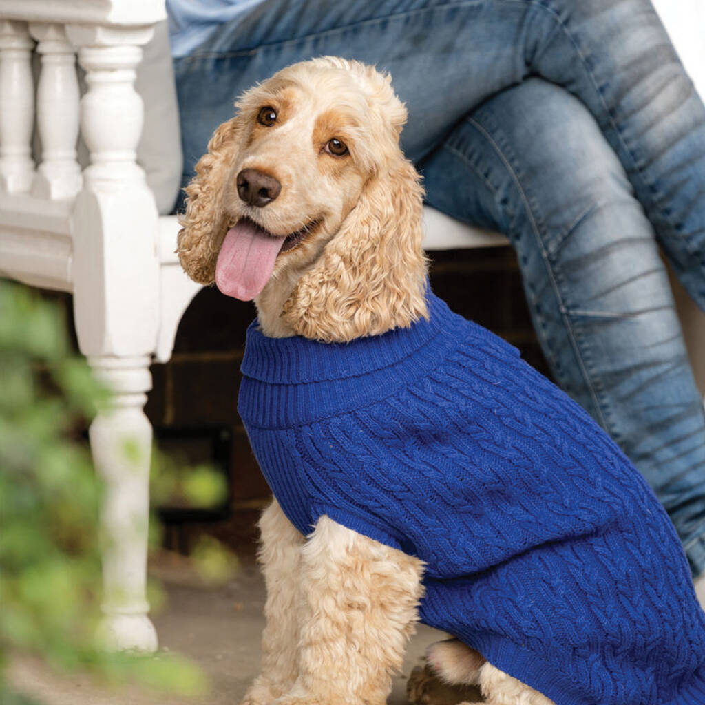 Plain Knitted Blue Dog Jumper, 1 of 5