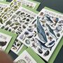 Wildlife Of Britain Greeting Cards Pack Volume Six, thumbnail 3 of 9