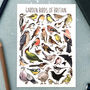 Garden Birds Of Britain Illustrated Postcard, thumbnail 1 of 11