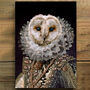 Owl Vintage Portrait Print, thumbnail 1 of 3