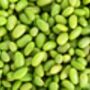 Edamame Plants, 'Green Shell', thumbnail 3 of 5