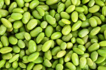 Edamame Plants, 'Green Shell', 3 of 5