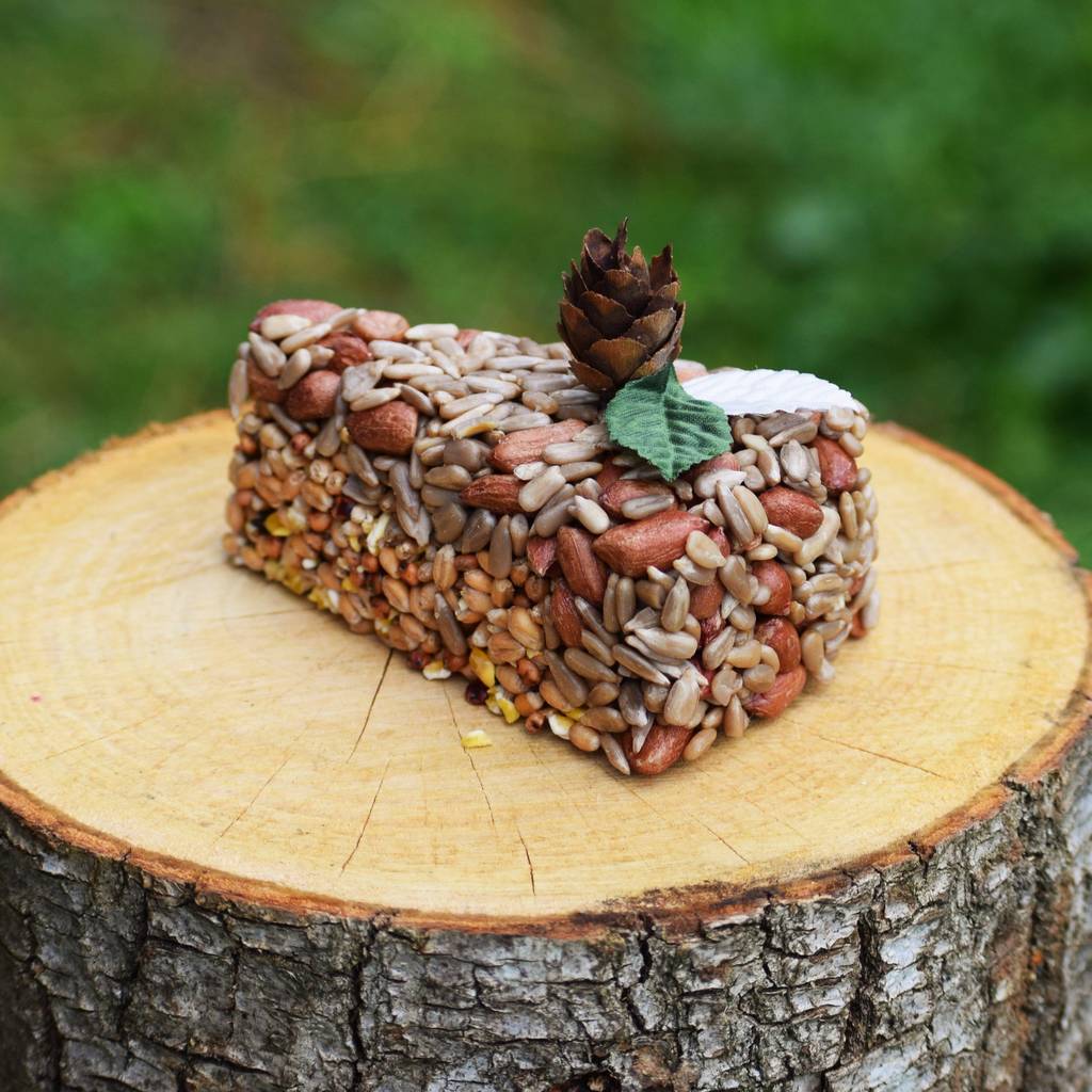 Cake Bird Food: A Delectable Treat for Your Feathered Friends