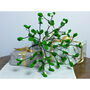 Hanging Organic Felt Mistletoe Decoration, thumbnail 3 of 6