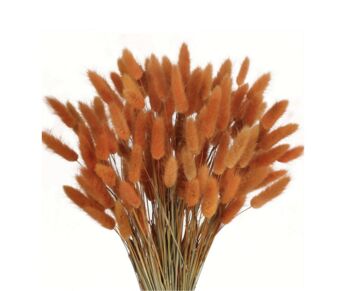 Soft Bunny Tails Dried Grass, 6 of 6