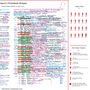 Liverpool 2025 League Champions Commentary Sheet, thumbnail 4 of 8