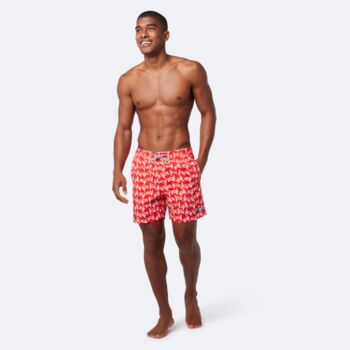 Father And Son Matching Turtle Print Swim Shorts, 3 of 8
