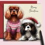 Ruby And Tri Cavalier King Charles Spaniel Dogs Christmas Card. Friends, thumbnail 1 of 2