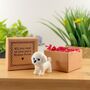 All You Need Is Love Tiny Little Gifts Bichon Frise, thumbnail 2 of 2