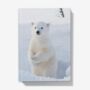 A5 Hardback Notebook Featuring A Polar Bear Cub, thumbnail 1 of 4