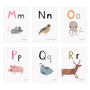 Personalised Animal Alphabet Flash Cards, thumbnail 8 of 9