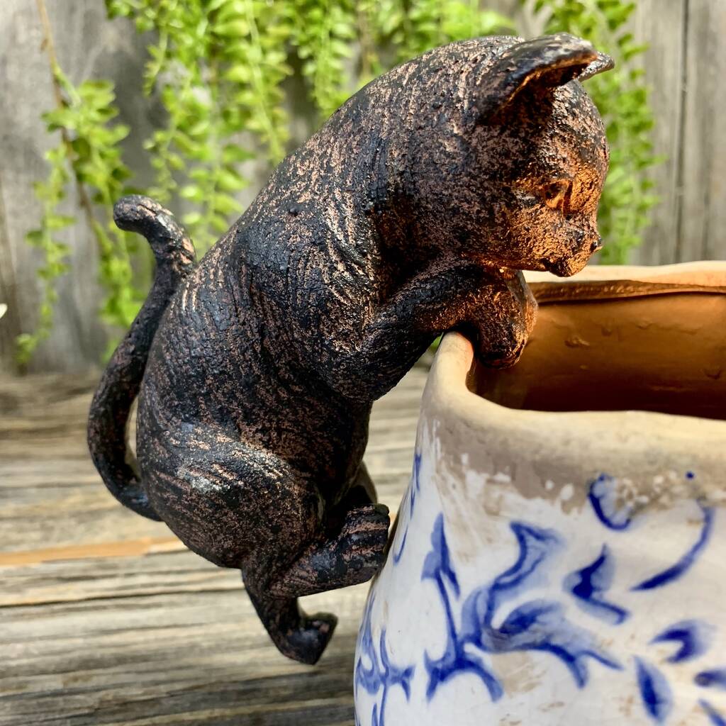 Cat Pot Hanger By London Garden Trading