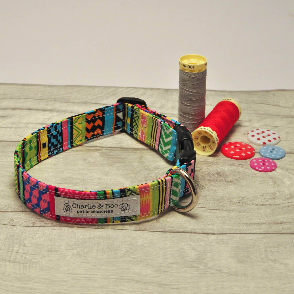 multi colour dog collar for girl or boy dogs by charlie and boo