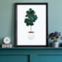 Set Of Three House Plant Scandi Wall Art Prints, thumbnail 2 of 6