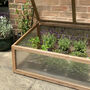 Wooden Framed Polycarbonate Coldframe With Foil Tape, thumbnail 6 of 9