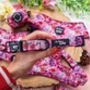 Berry Blossom Floral Dog Collar, thumbnail 3 of 8