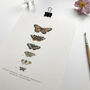 ‘Butterfly Chart’ A5 Giclée Art Print, thumbnail 2 of 3