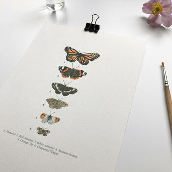 ‘Butterfly Chart’ A5 Giclée Art Print, 2 of 3