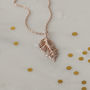 Feather Sterling Silver Gold Or Rose Gold Necklace, thumbnail 5 of 12