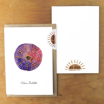 Echinozoa Purple Sea Urchin Greetings Card, 4 of 7