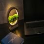 Round Wood Table Lamp With Preserved Moss, thumbnail 3 of 12