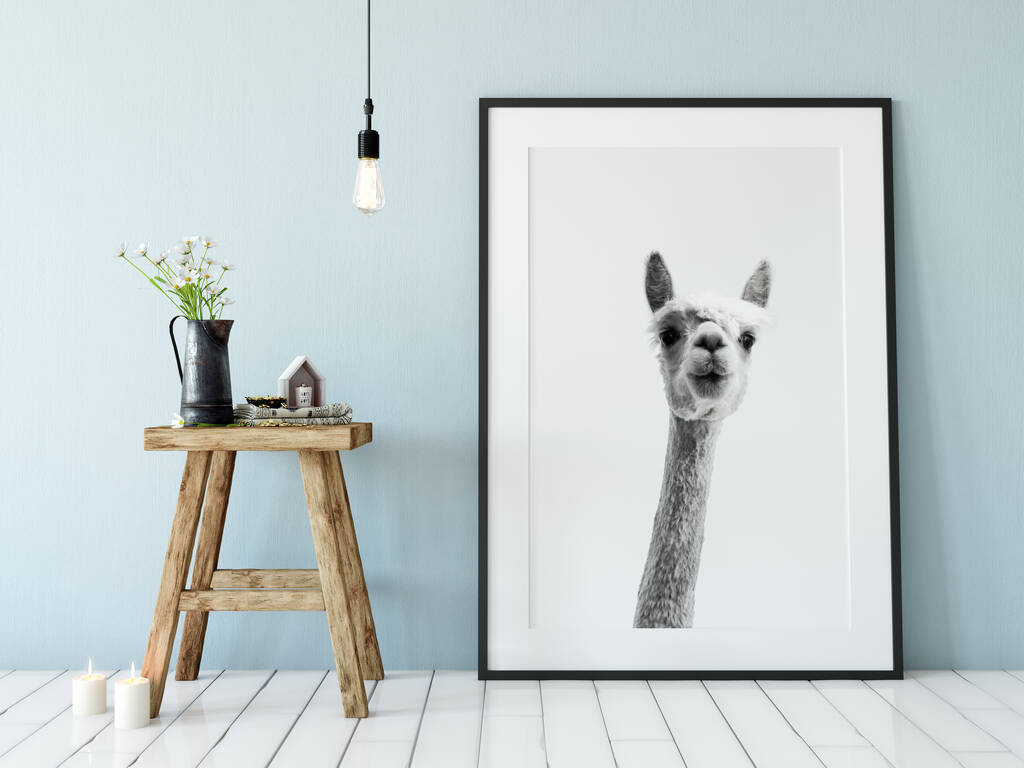 Framed Llama Photography Print, 1 of 5