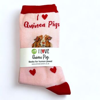 I Love Guinea Pigs Socks Novelty Gift, 5 of 6
