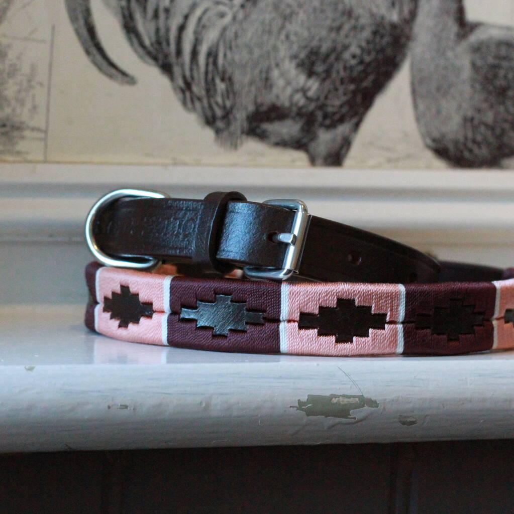 Genuine Leather Polo Burgundy Pink Dog Collar, 1 of 2