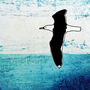 'Solitary Gull' Fine Art Giclee Print, thumbnail 2 of 2