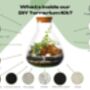 Diy Terrarium Kit: Glass, Plants And Moss | 'Lima', thumbnail 4 of 8