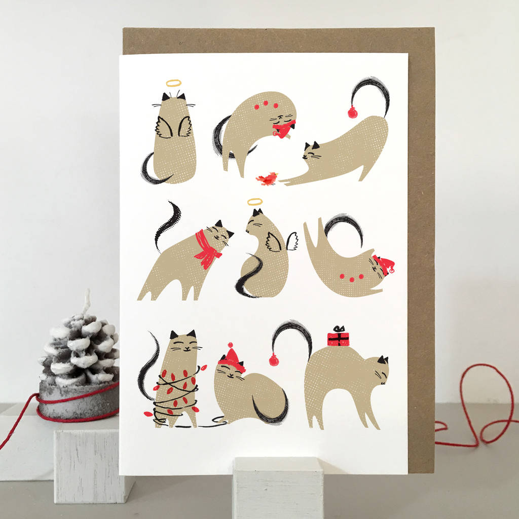 Cat Christmas Cards By Purpose & Worth Etc ...