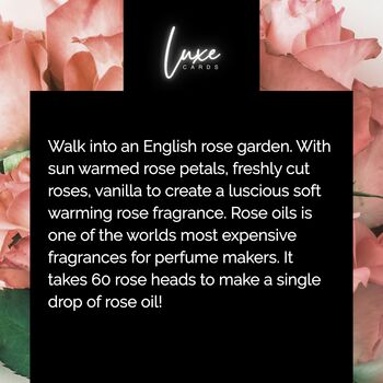 Bloom Aquamarine Birthstone Card For March Birthday, 9 of 10