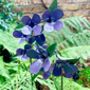 Two Stems Of Purple Wildflower Sculptures Art050pur, thumbnail 8 of 12