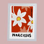 December Narcissus Birth Flower Print, thumbnail 3 of 3